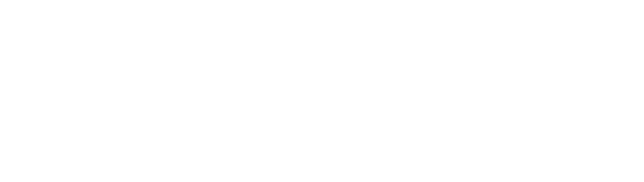 Rook logo